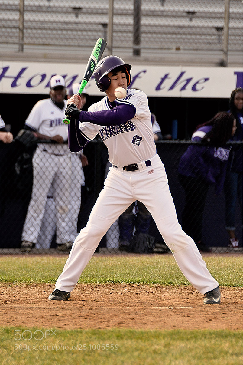 Nikon D500 sample photo. Baseball photography