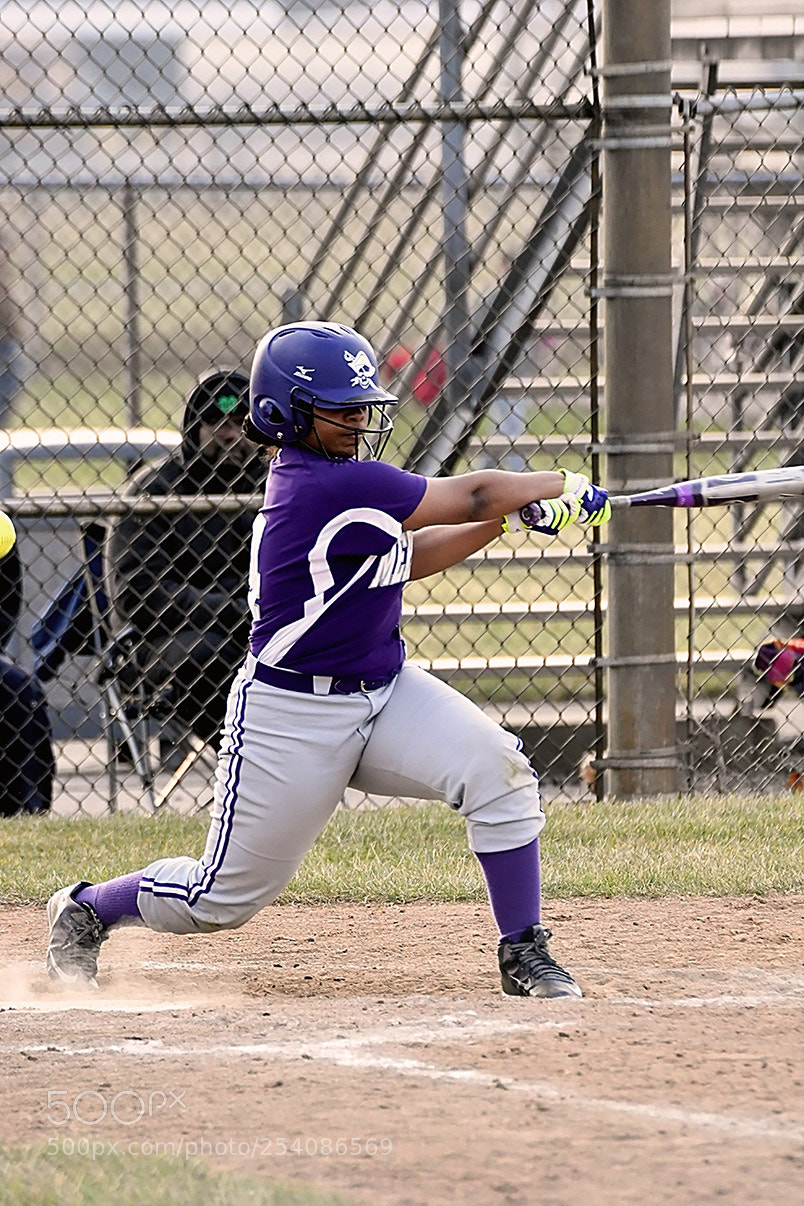 Nikon D500 sample photo. Softball photography