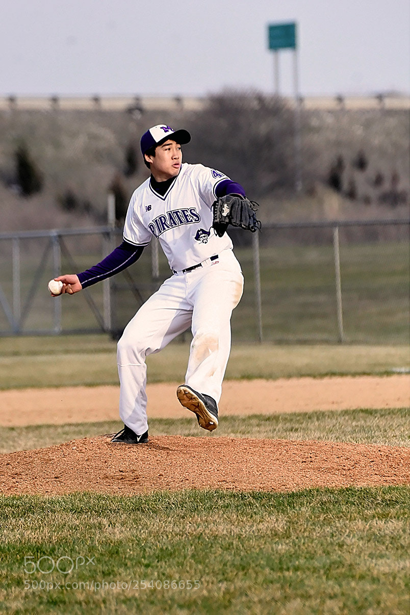 Nikon D500 sample photo. Baseball photography