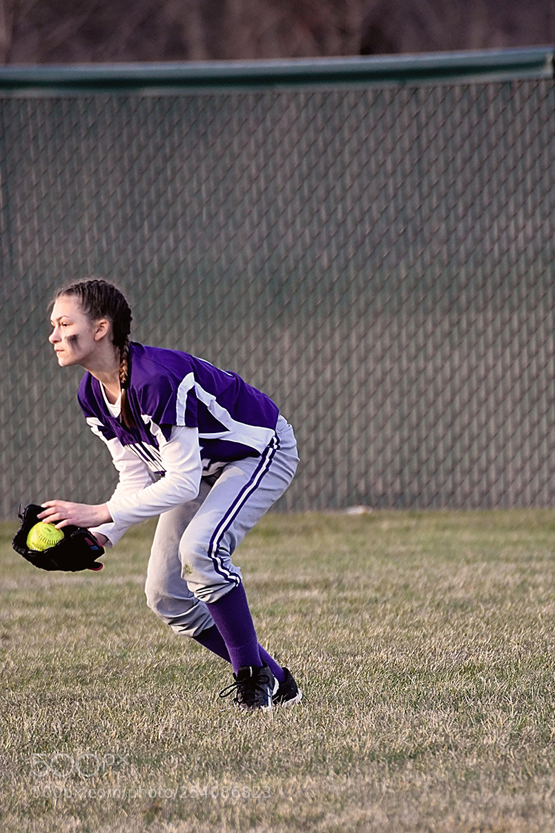 Nikon D500 sample photo. Softball photography
