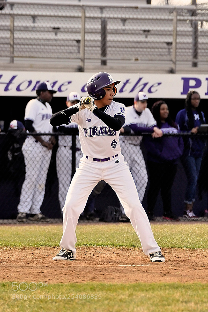 Nikon D500 sample photo. Baseball photography