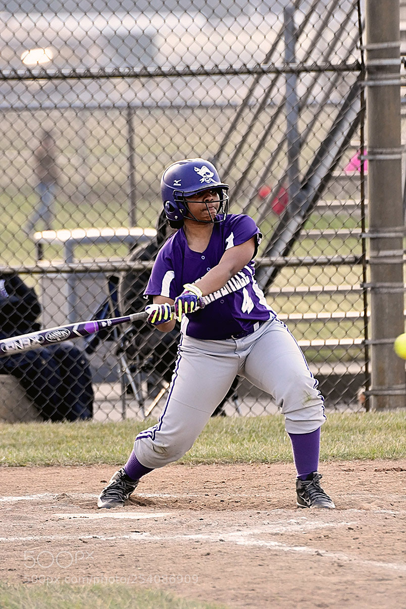 Nikon D500 sample photo. Softball photography