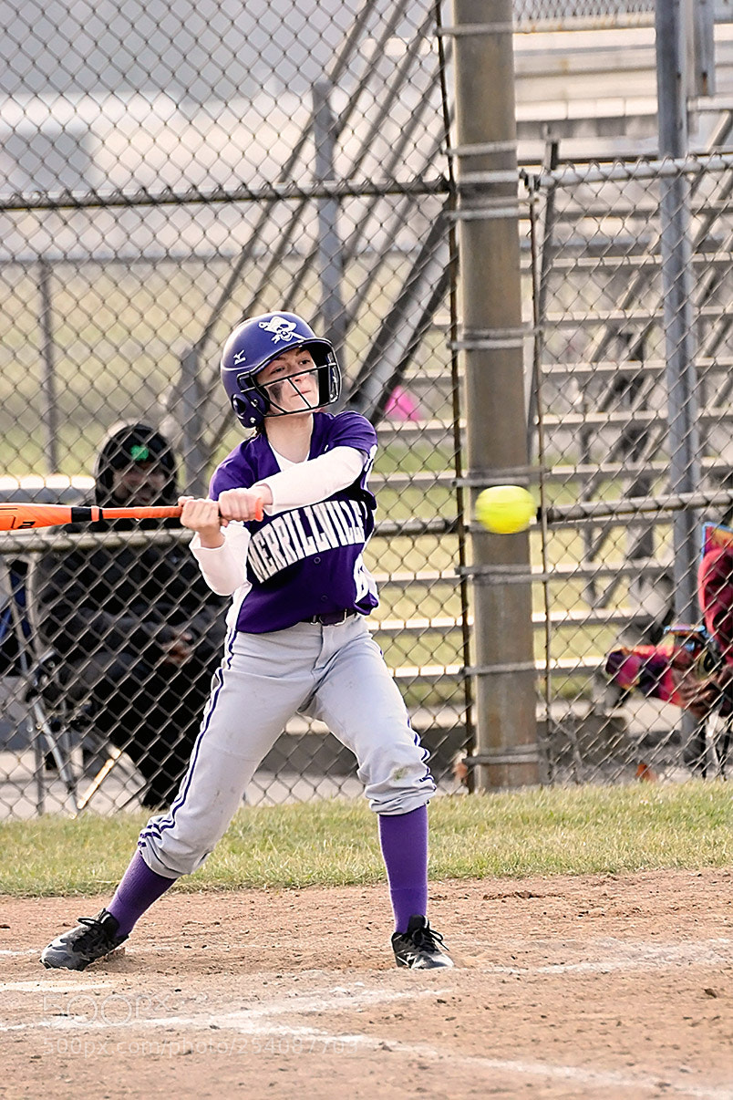 Nikon D500 sample photo. Softball photography