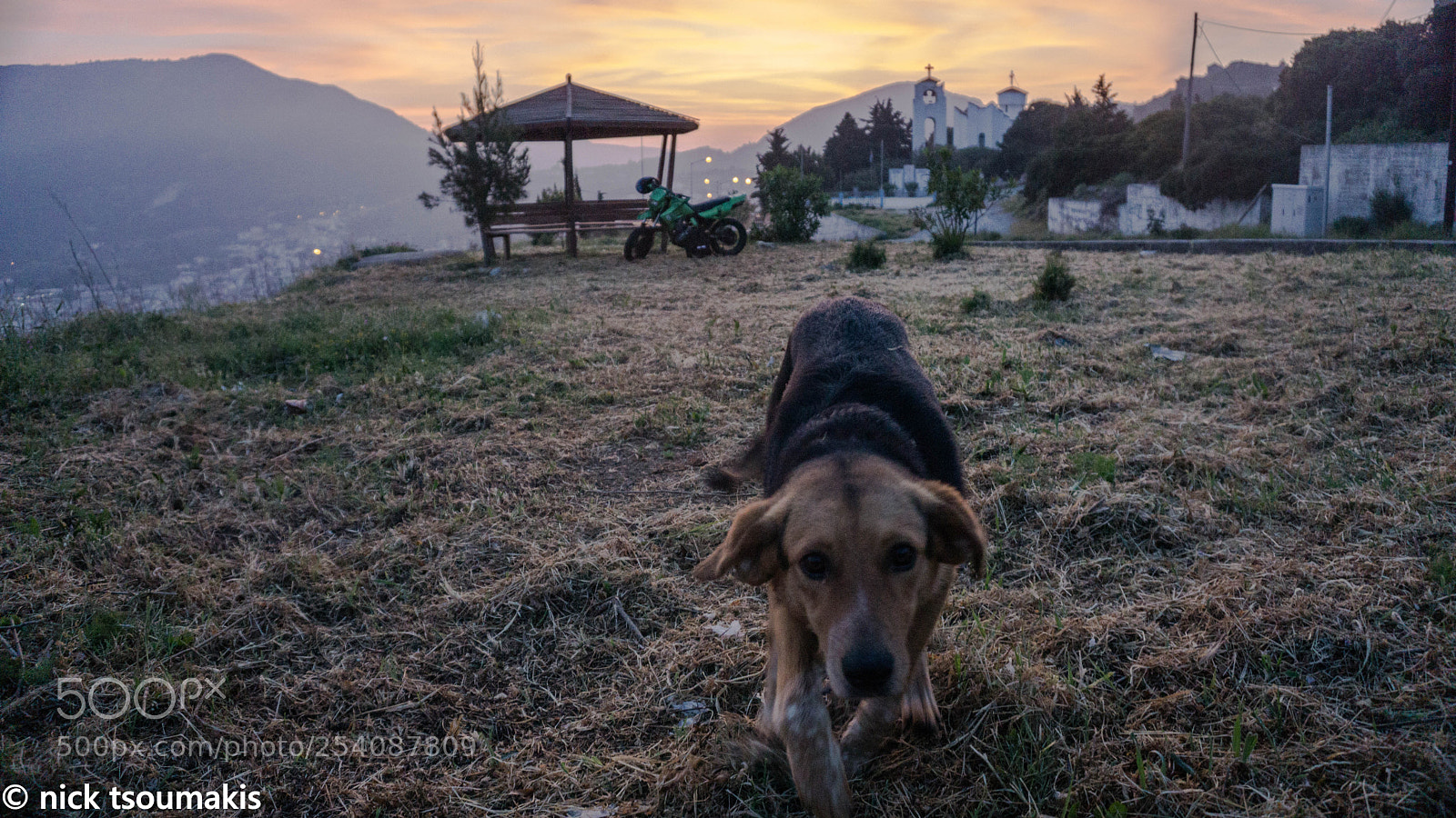 Sony a6000 sample photo. Dsc photography