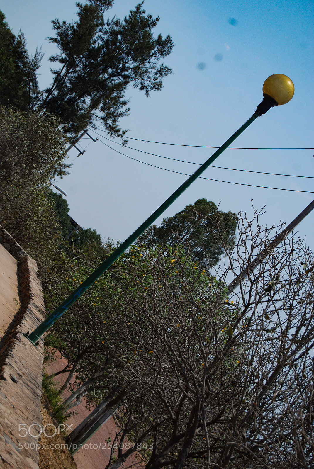 Nikon D40X sample photo. Incline photography