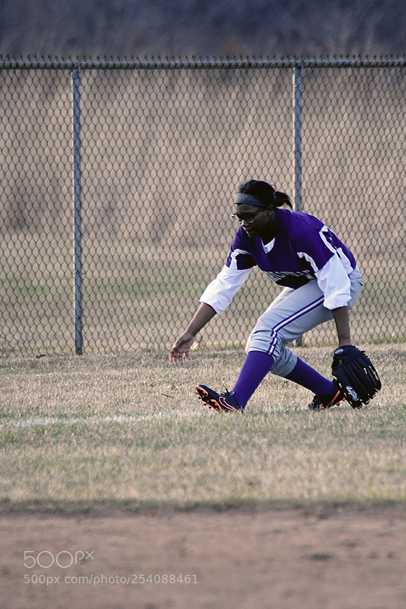 Nikon D500 sample photo. Softball photography