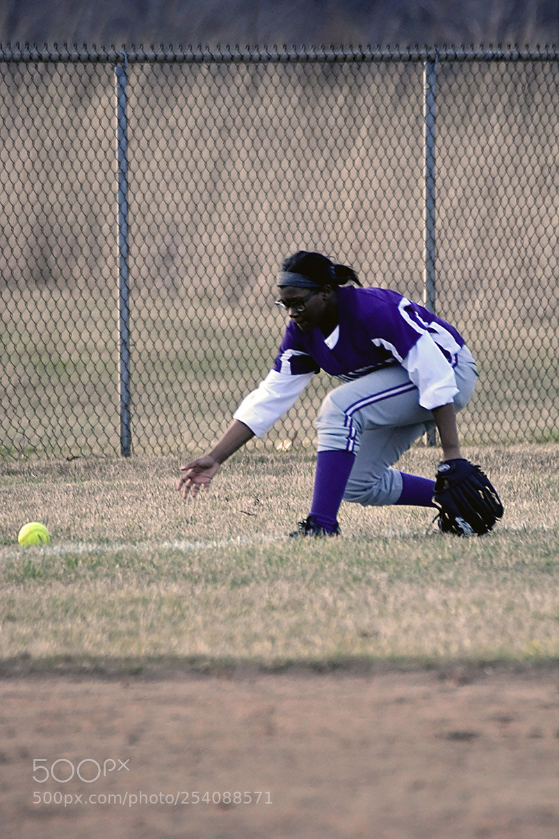Nikon D500 sample photo. Softball photography