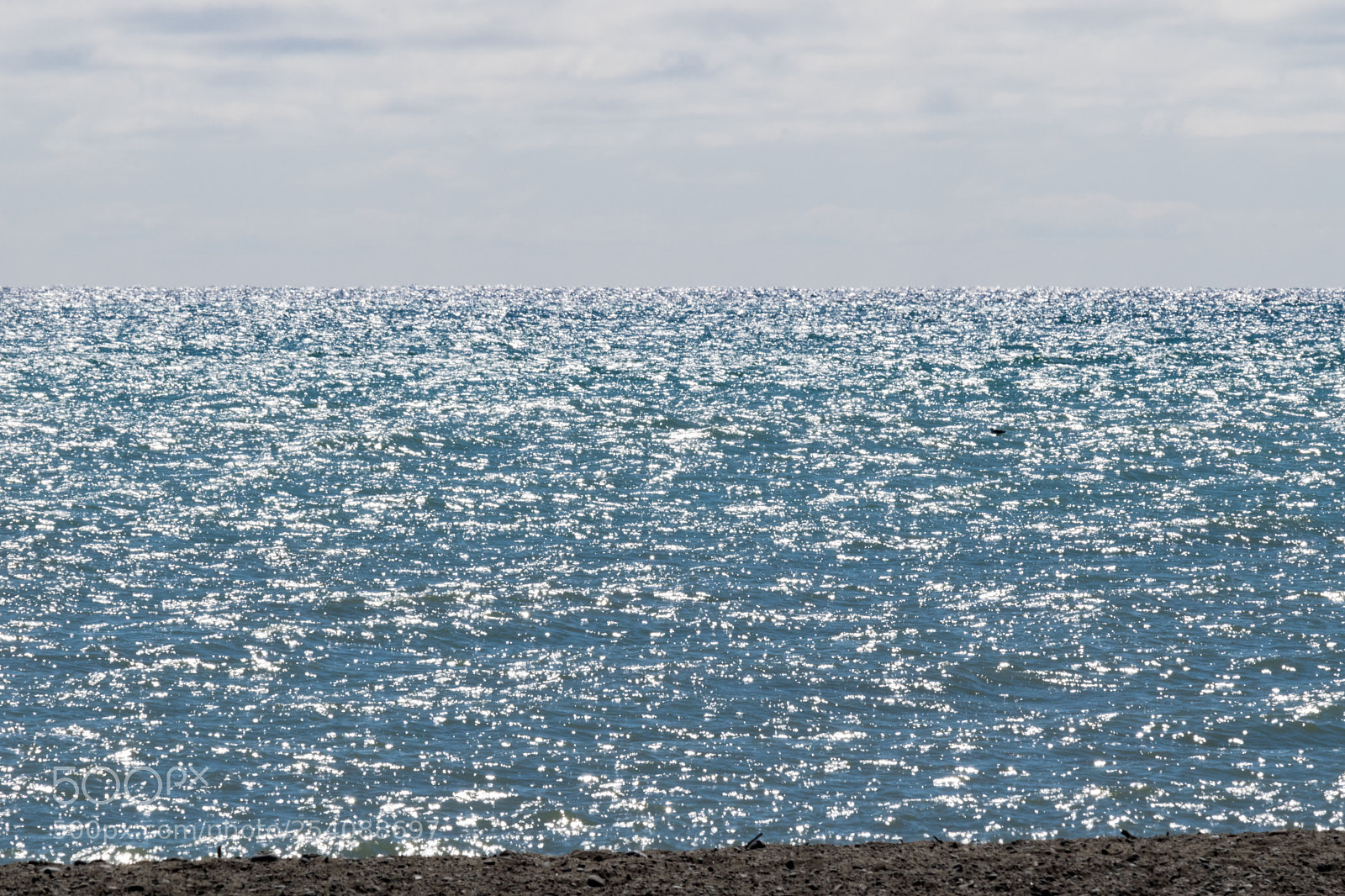 Nikon D3300 sample photo. The crest of a photography