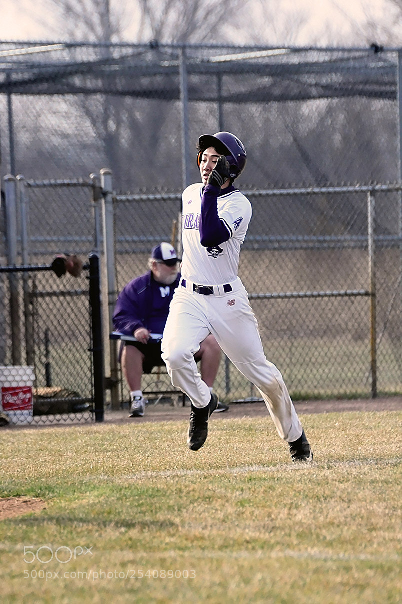 Nikon D500 sample photo. Baseball photography