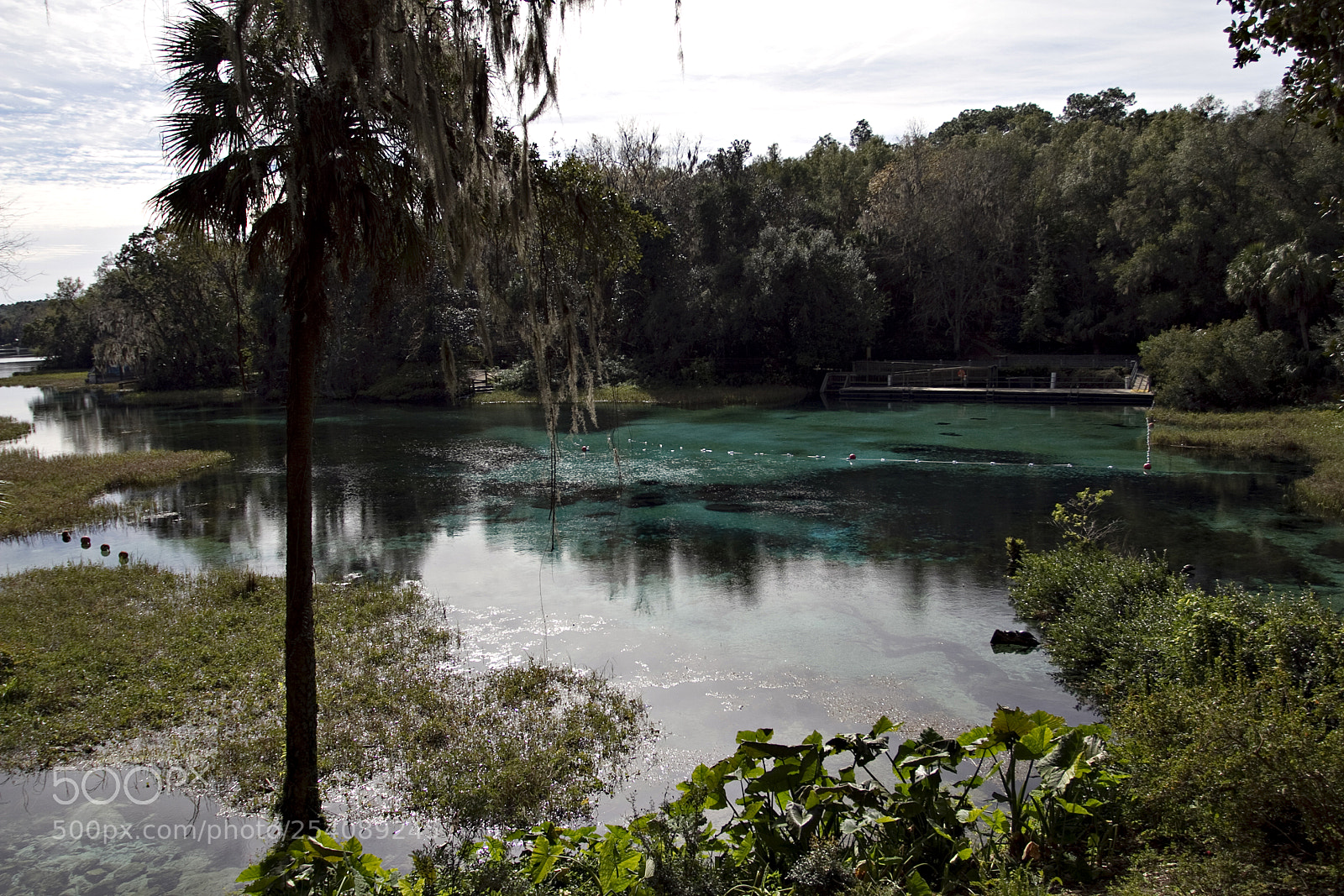 Canon EOS 7D sample photo. Rainbow springs 1 photography