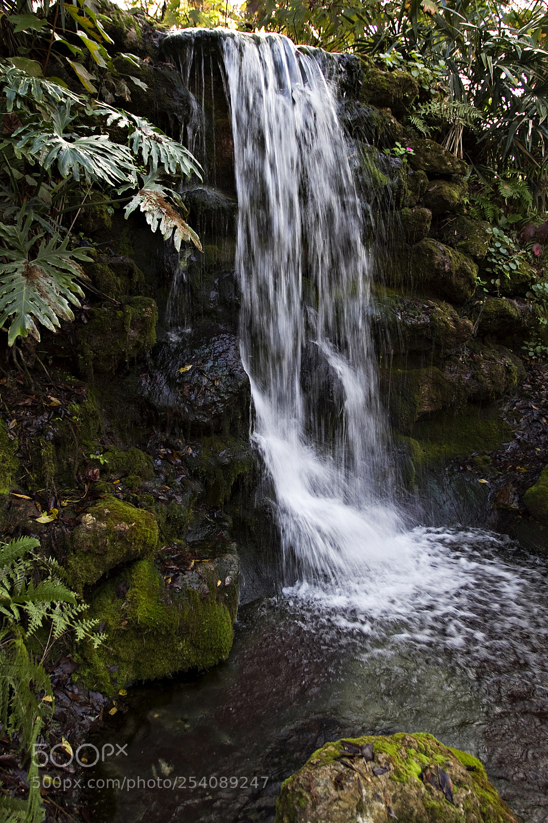 Canon EOS 7D sample photo. Rainbow springs 2 photography