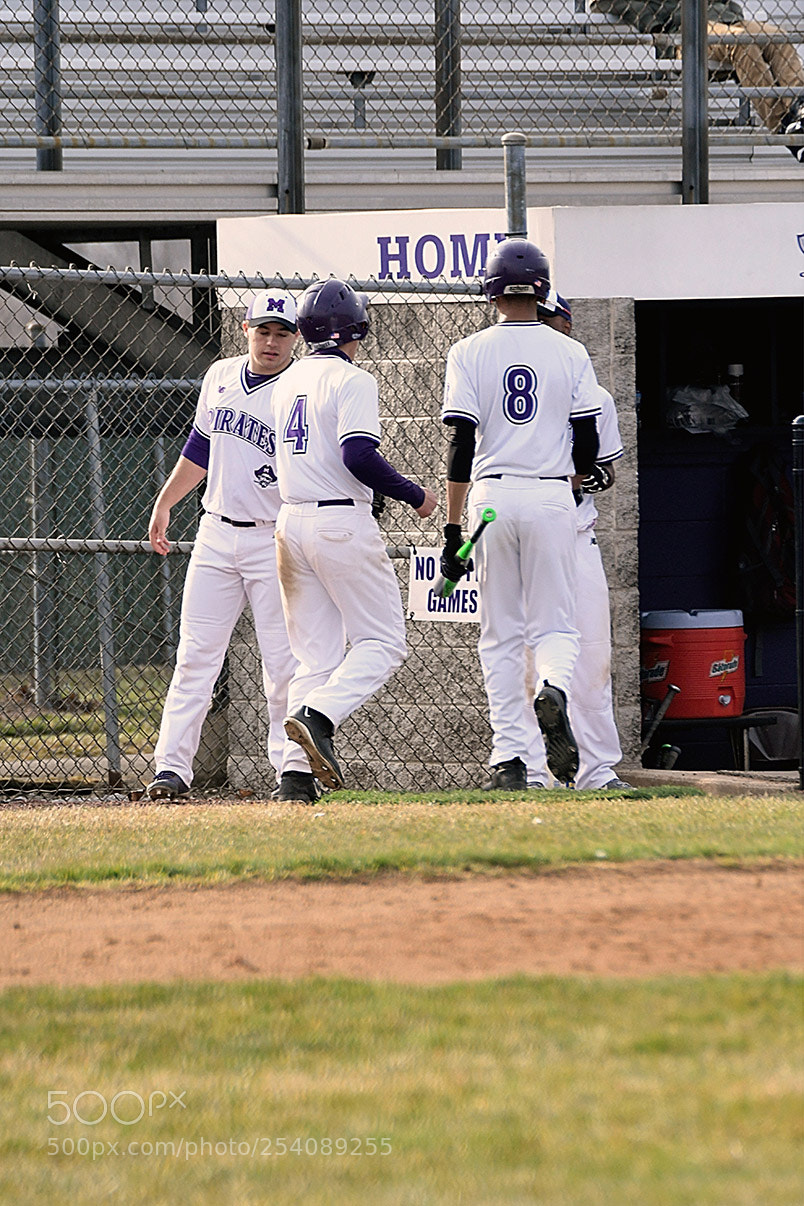 Nikon D500 sample photo. Baseball photography
