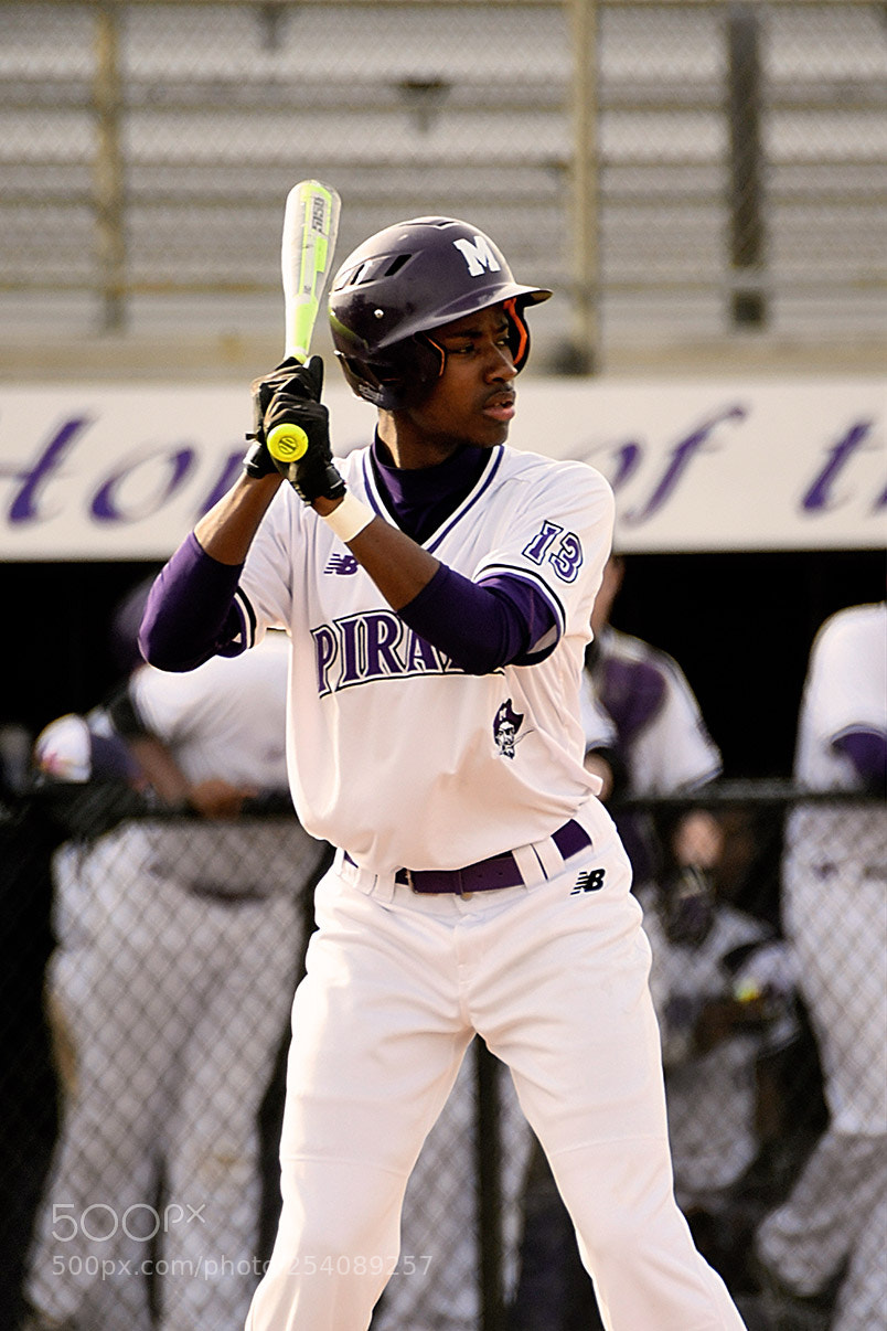 Nikon D500 sample photo. Baseball photography