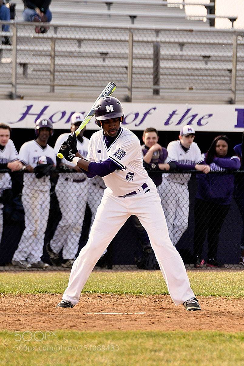 Nikon D500 sample photo. Baseball photography