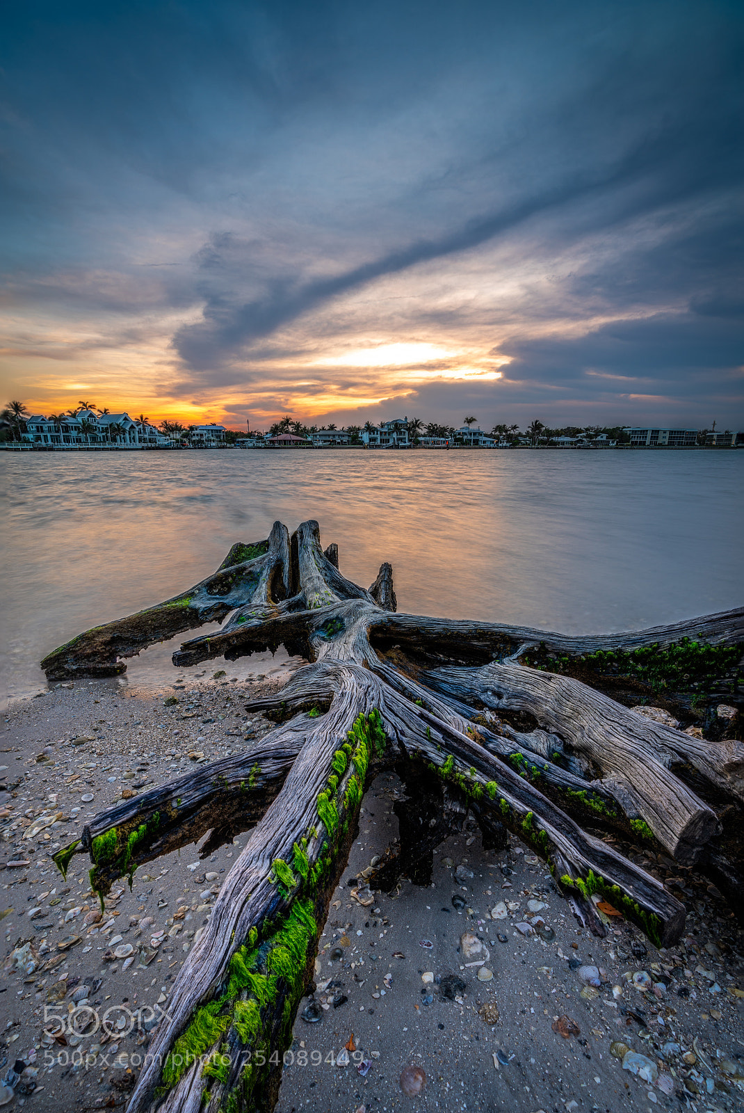 Sony a7R III sample photo. Stacked photography