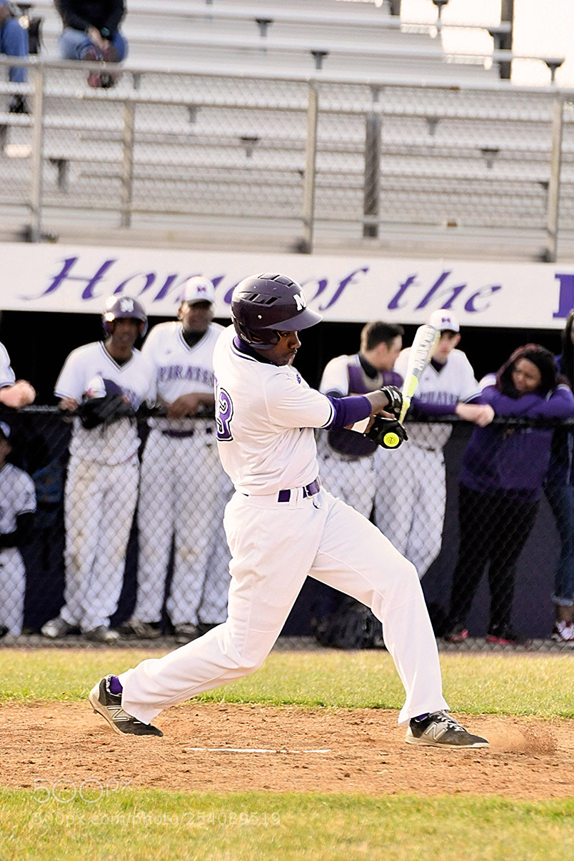 Nikon D500 sample photo. Baseball photography