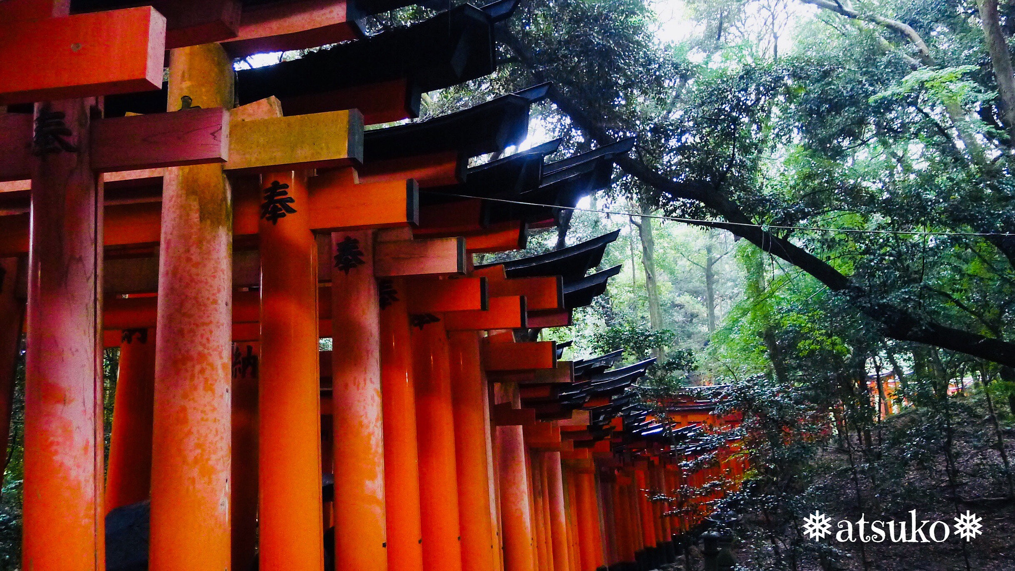 Panasonic Lumix DMC-LX5 sample photo. Fushimi inari＊kyoto photography