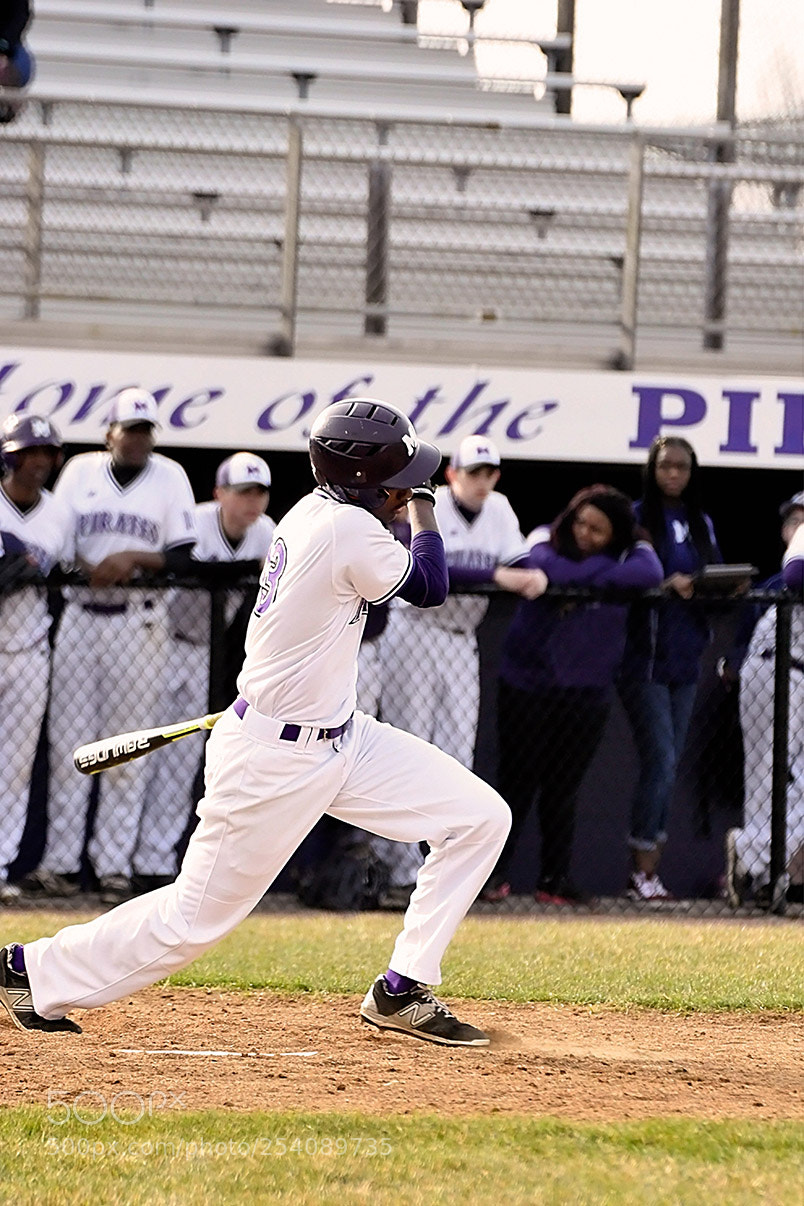 Nikon D500 sample photo. Baseball photography