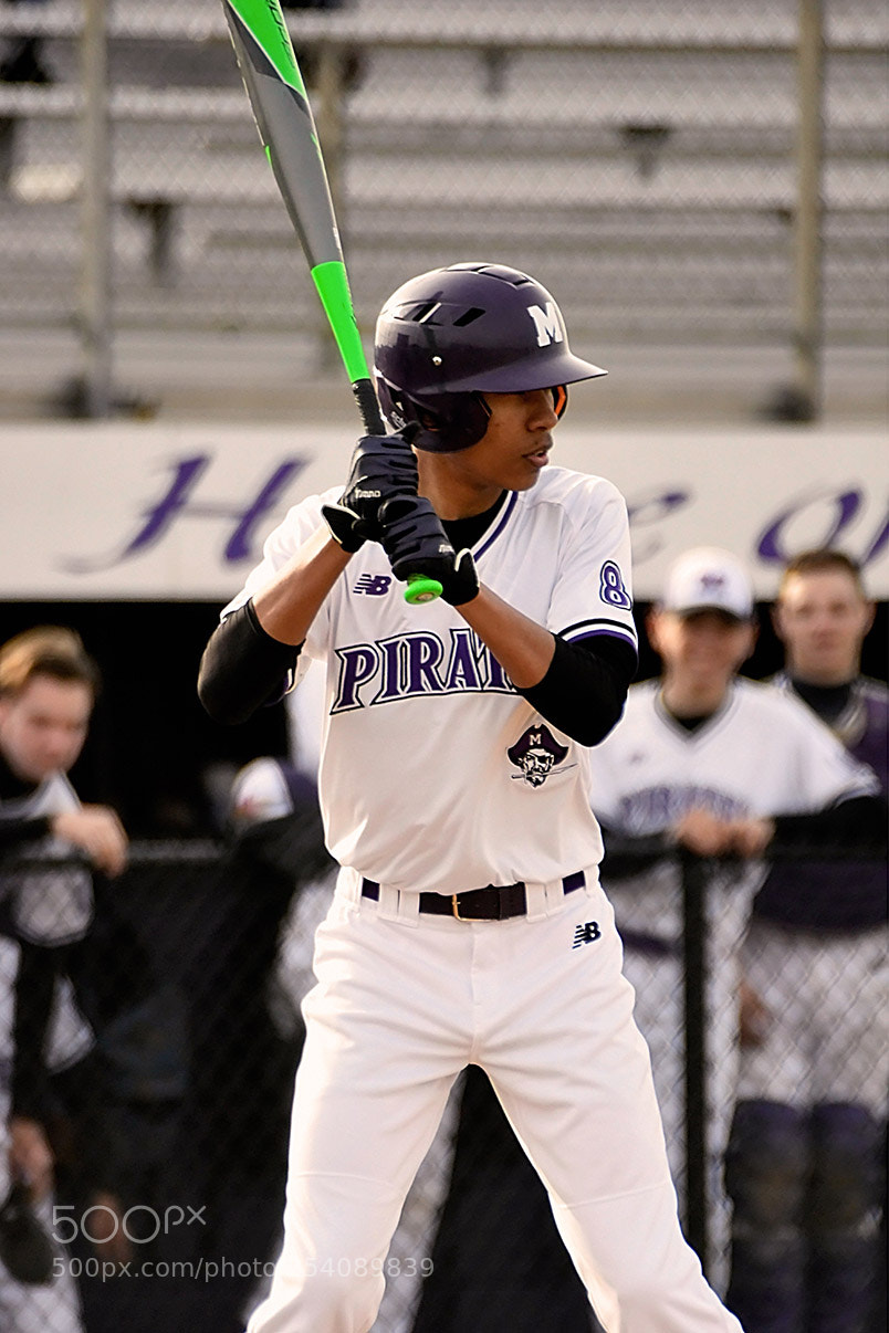 Nikon D500 sample photo. Baseball photography