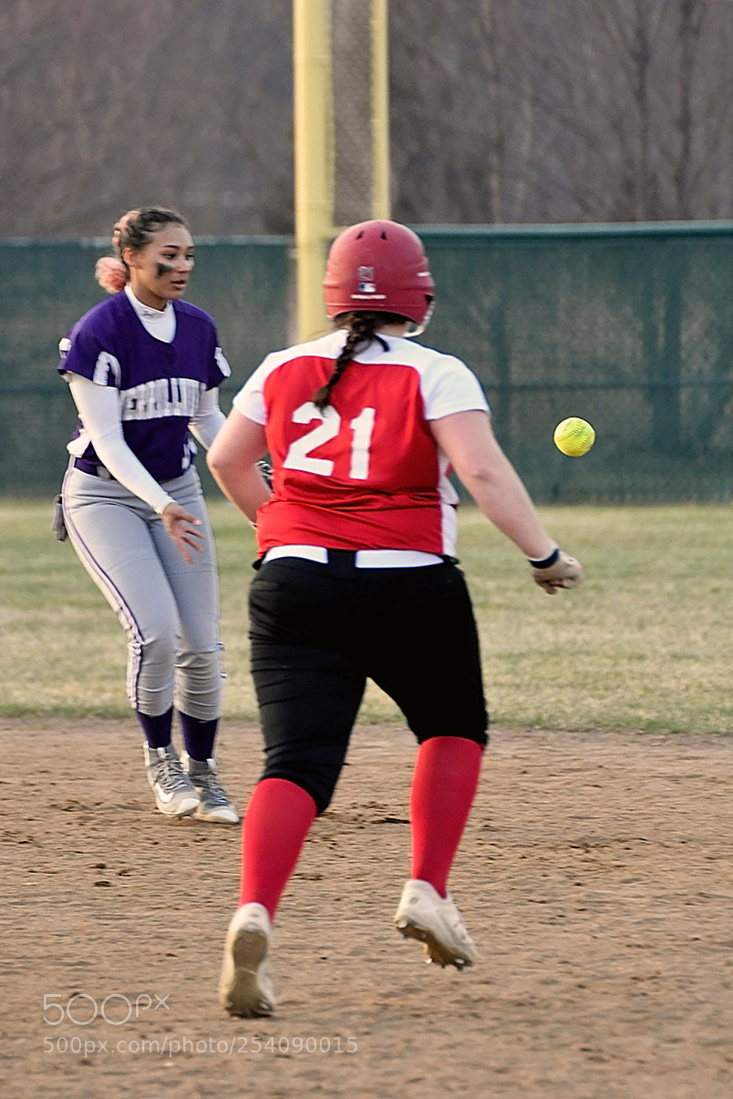 Nikon D500 sample photo. Softball photography