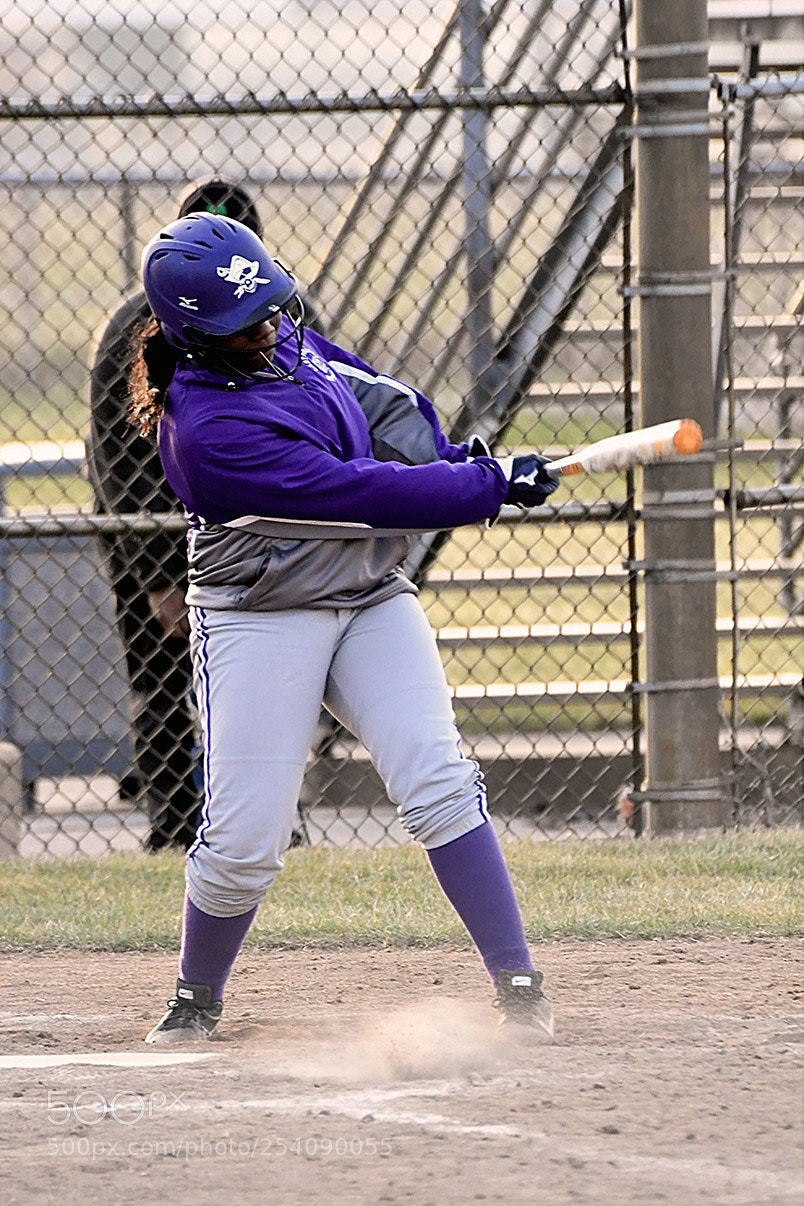 Nikon D500 sample photo. Softball photography