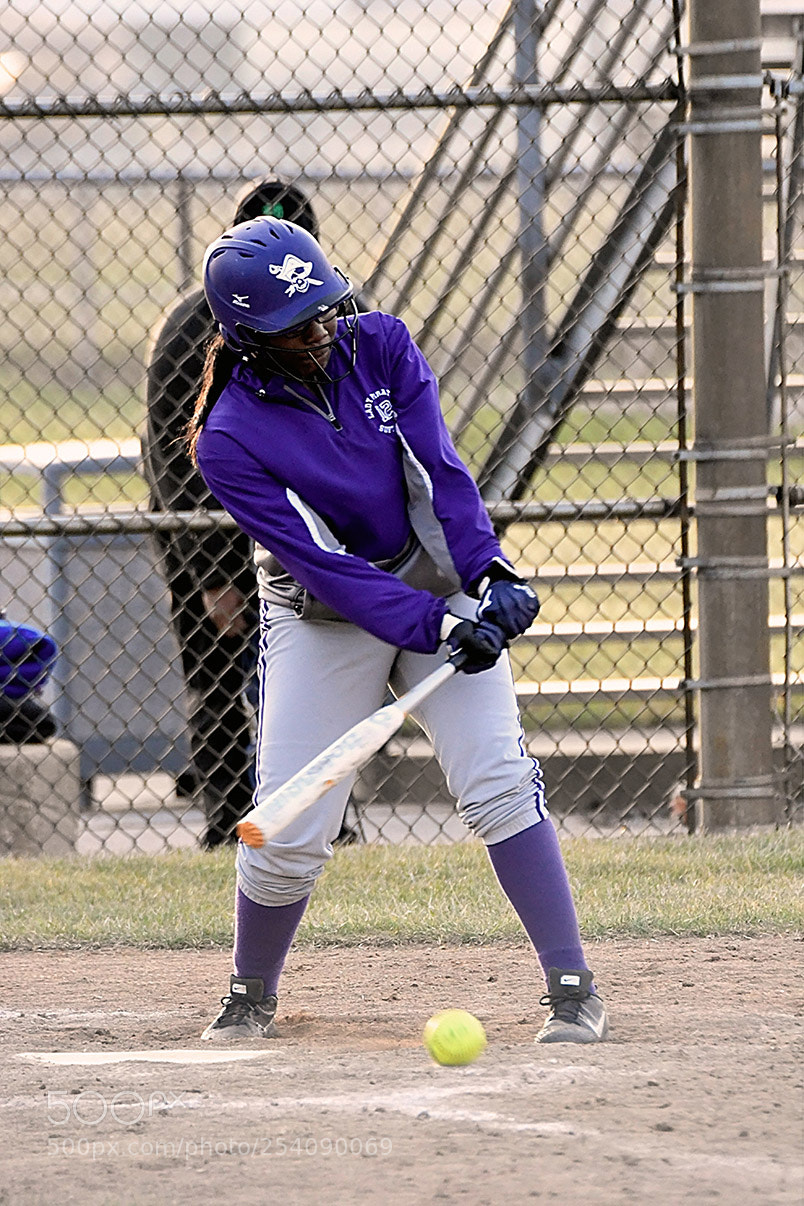 Nikon D500 sample photo. Softball photography