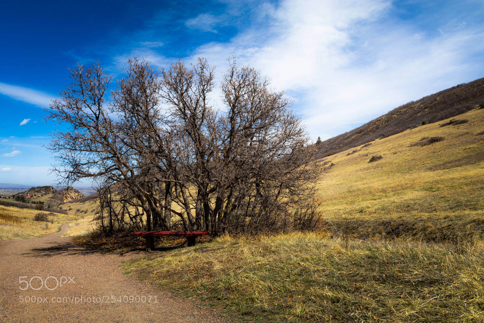 Canon EOS 80D sample photo. Resting bench photography