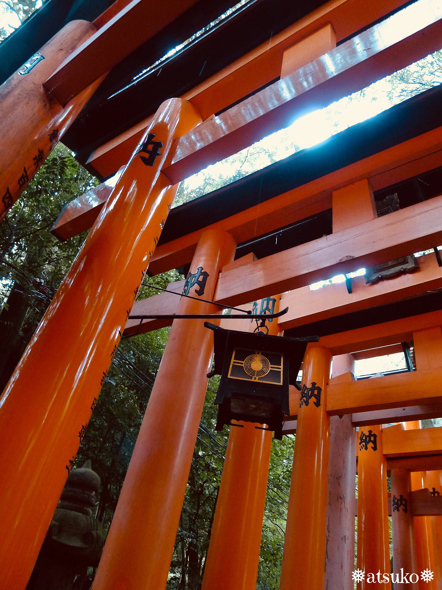 Panasonic Lumix DMC-LX5 sample photo. Fushimi inari 2＊kyoto photography