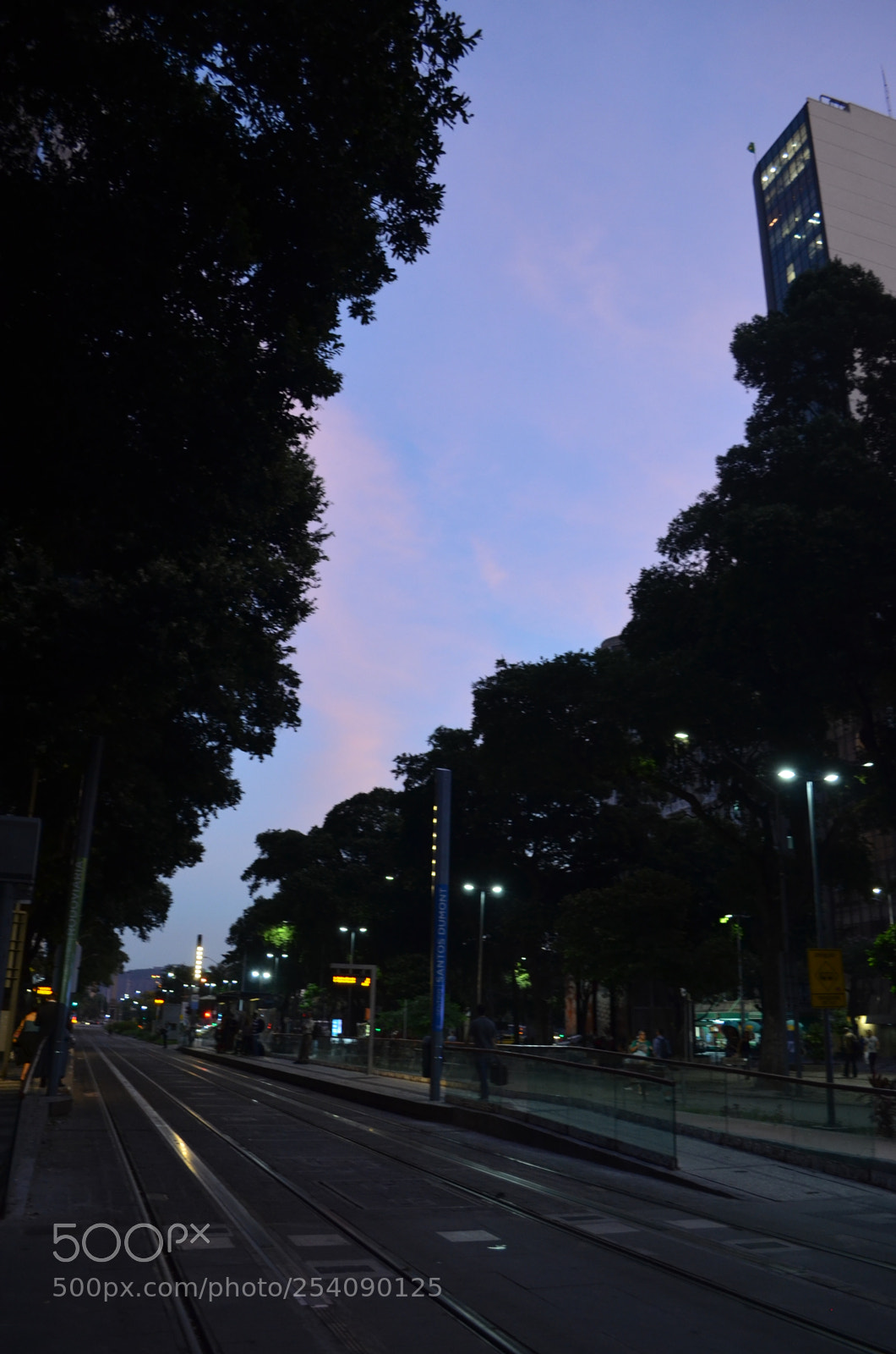 Nikon D5100 sample photo. Sky way photography