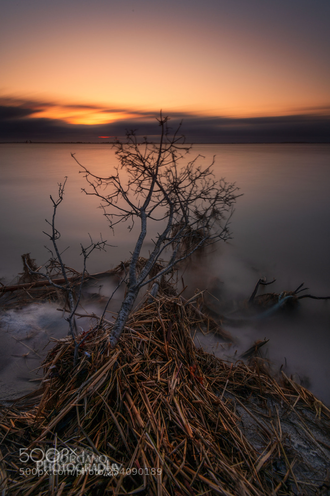Nikon D850 sample photo. Longest sunset photography