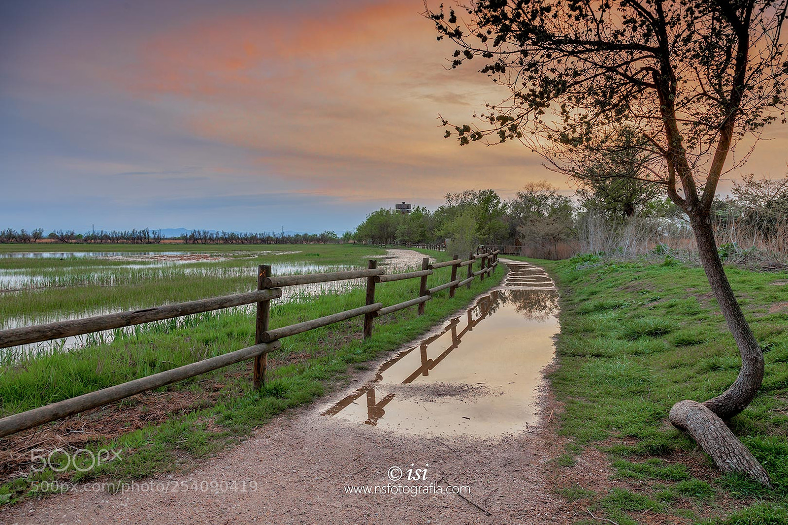 Canon EOS 5D Mark II sample photo. Atardece en el camino photography