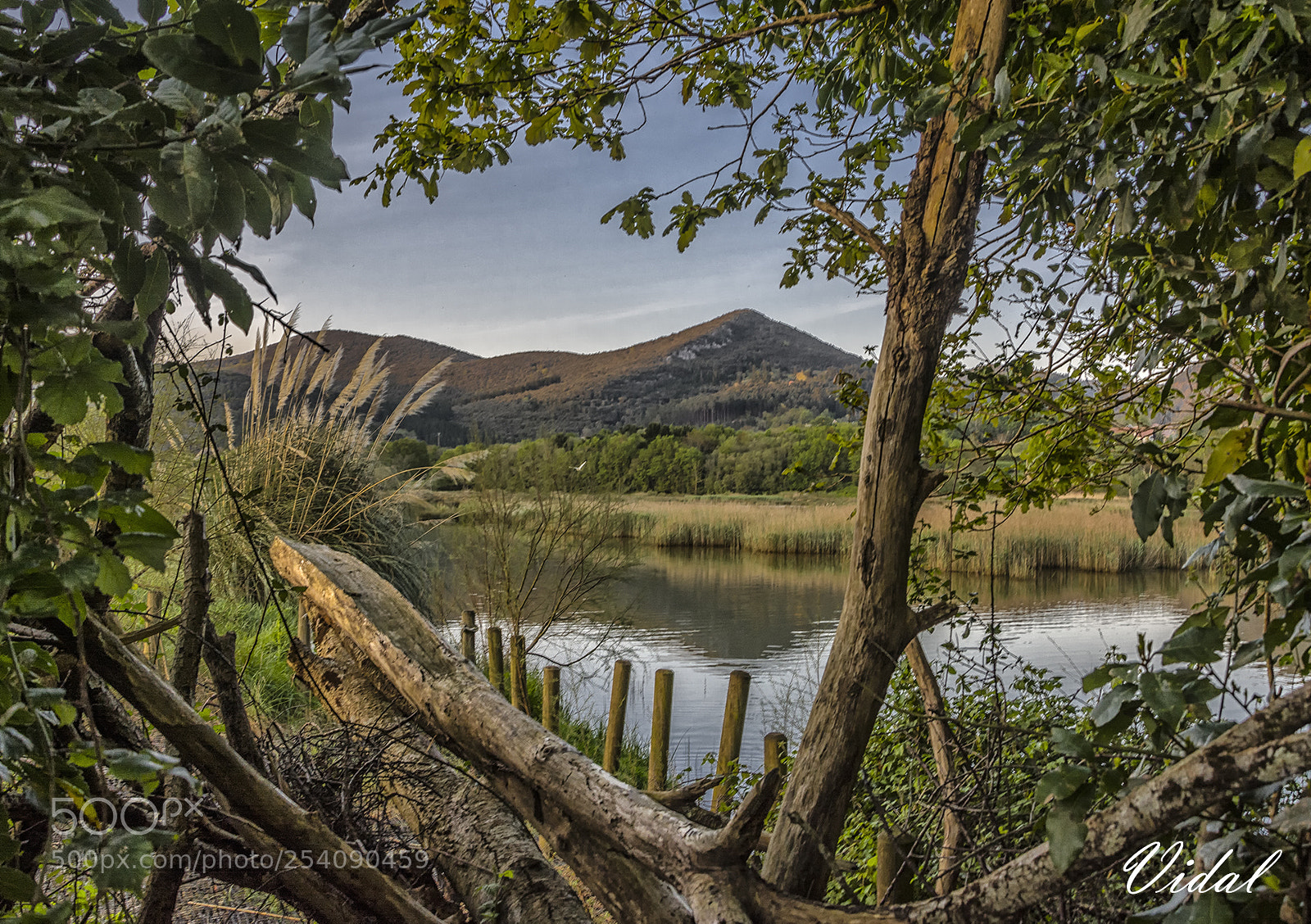 Nikon D7100 sample photo. Urdaibai photography