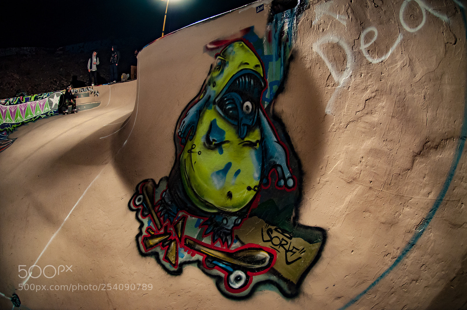 Nikon D90 sample photo. Skateboarding photography