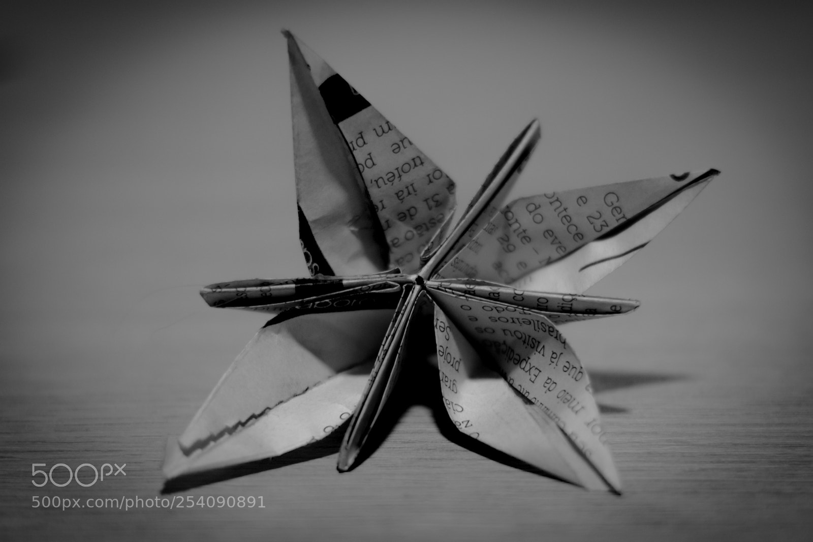 Nikon D7200 sample photo. Jornal, flor photography