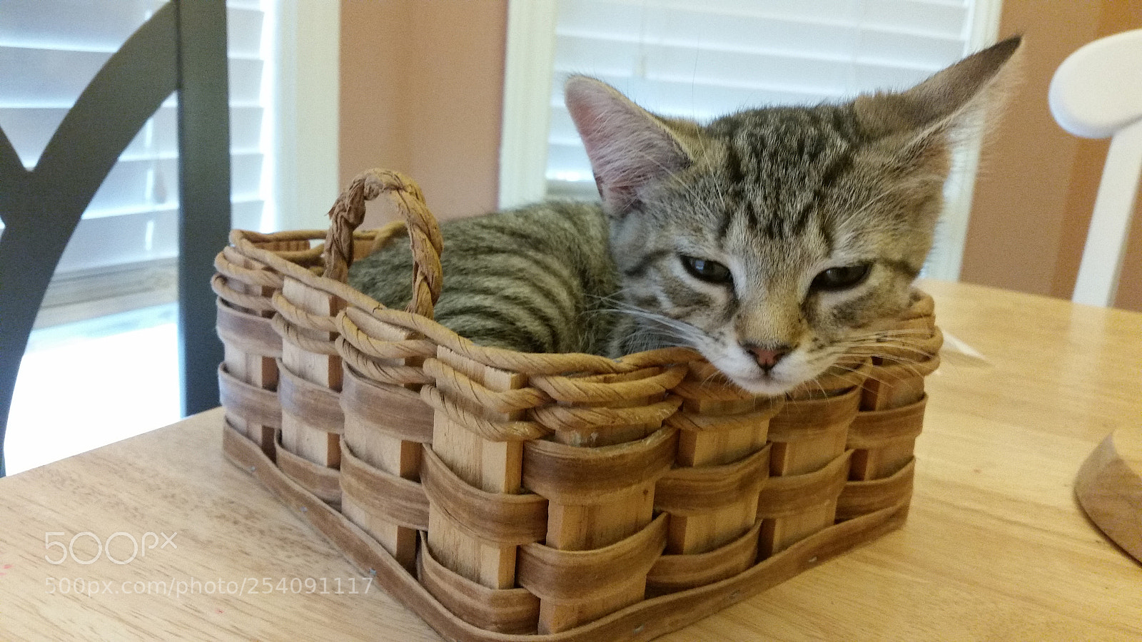 Samsung Galaxy S5 sample photo. 20160918_173658.jpg photography