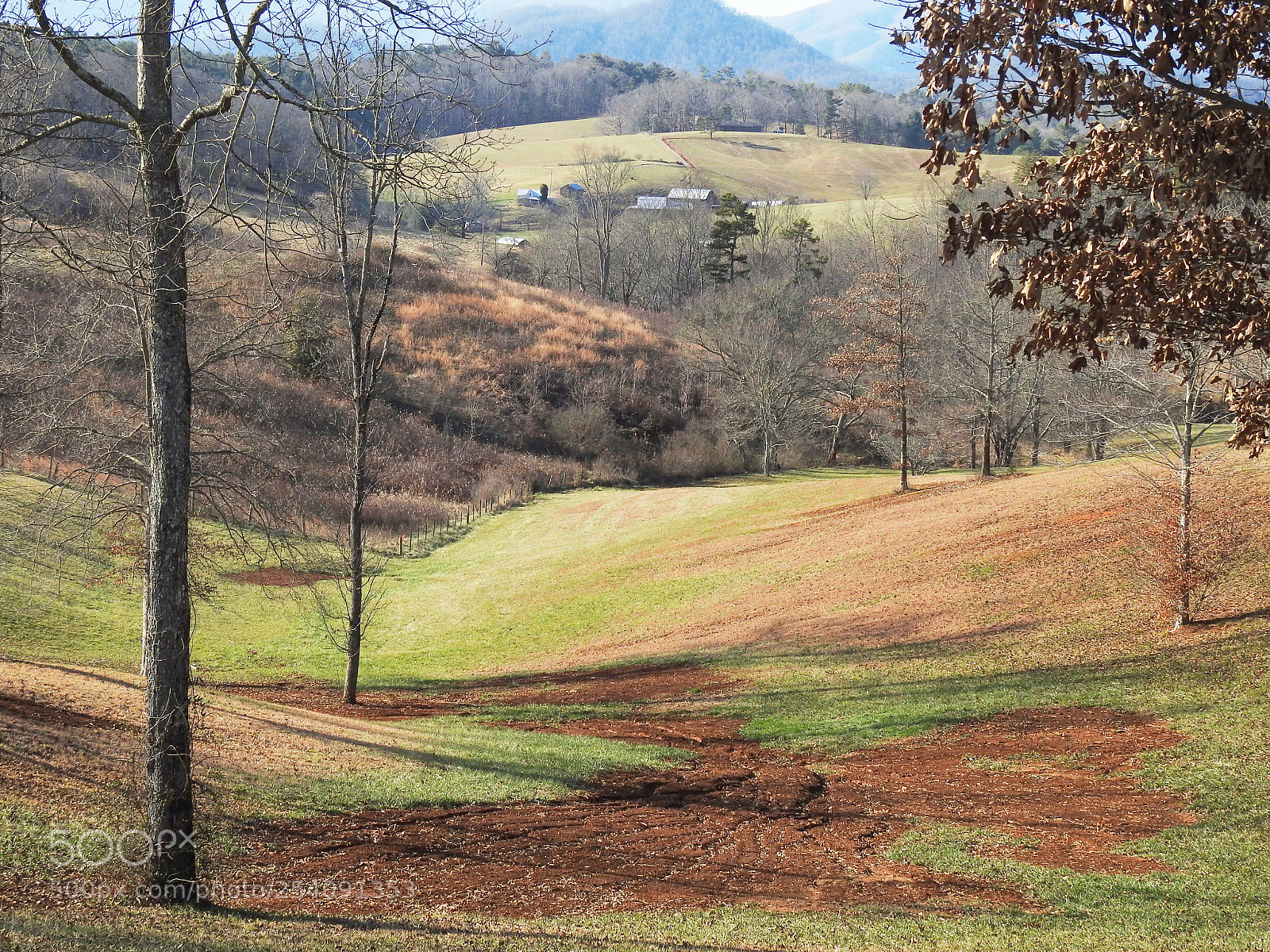 Nikon Coolpix P900 sample photo. Leicester, north carolina photography