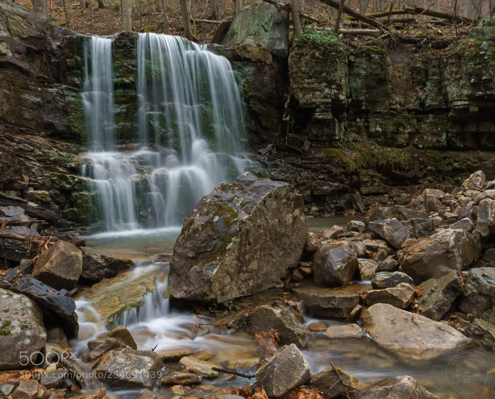 Sony a6000 sample photo. Yellow dog run falls photography