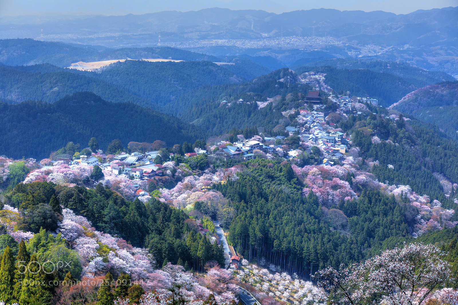 Canon EOS 5DS sample photo. 吉野櫻花 photography