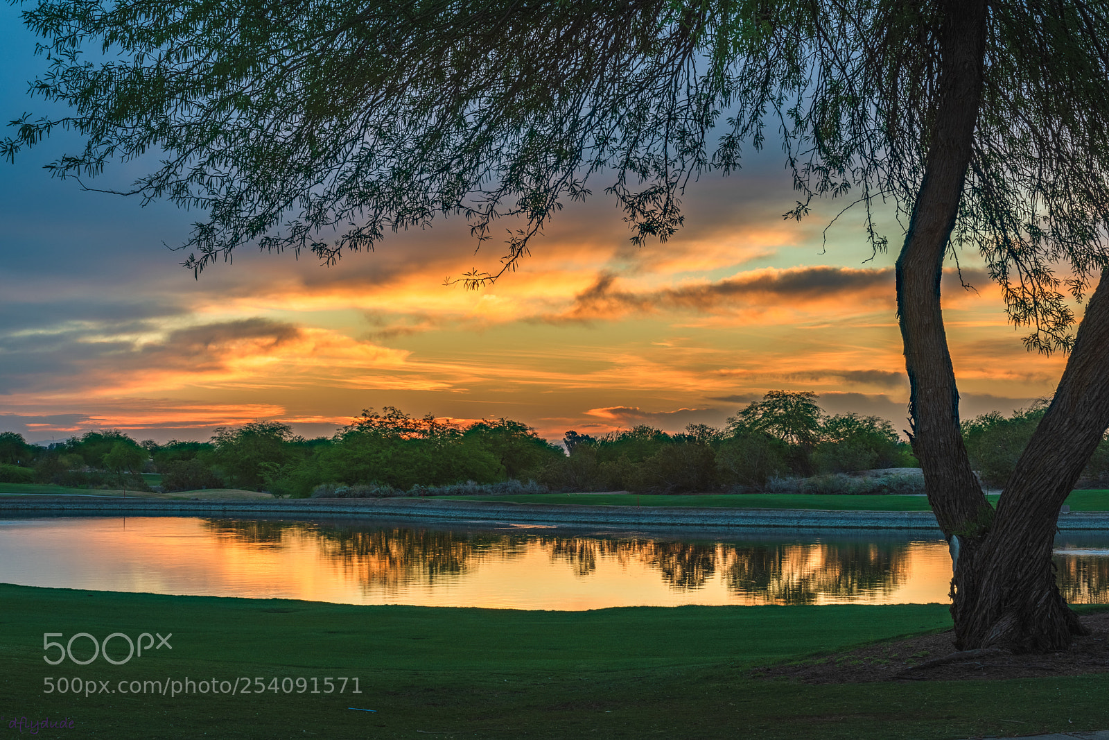 Nikon D5600 sample photo. Morning reflection 5359 photography