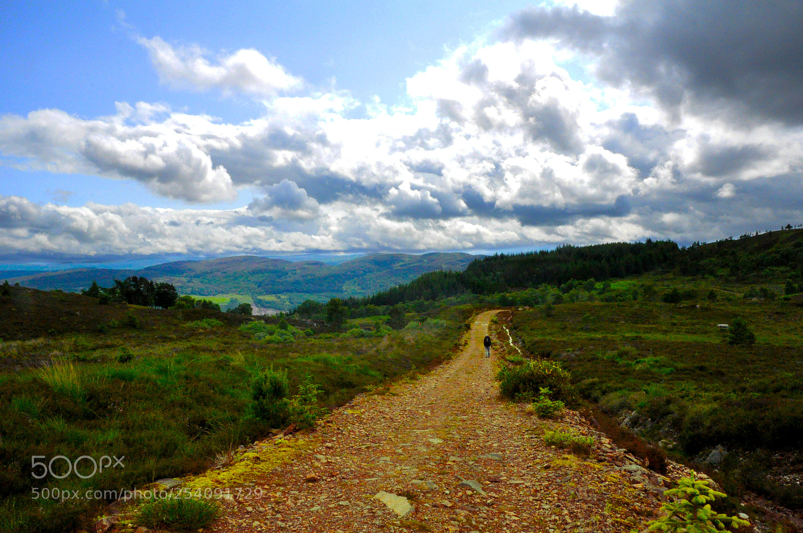 Nikon D90 sample photo. The mystical path photography