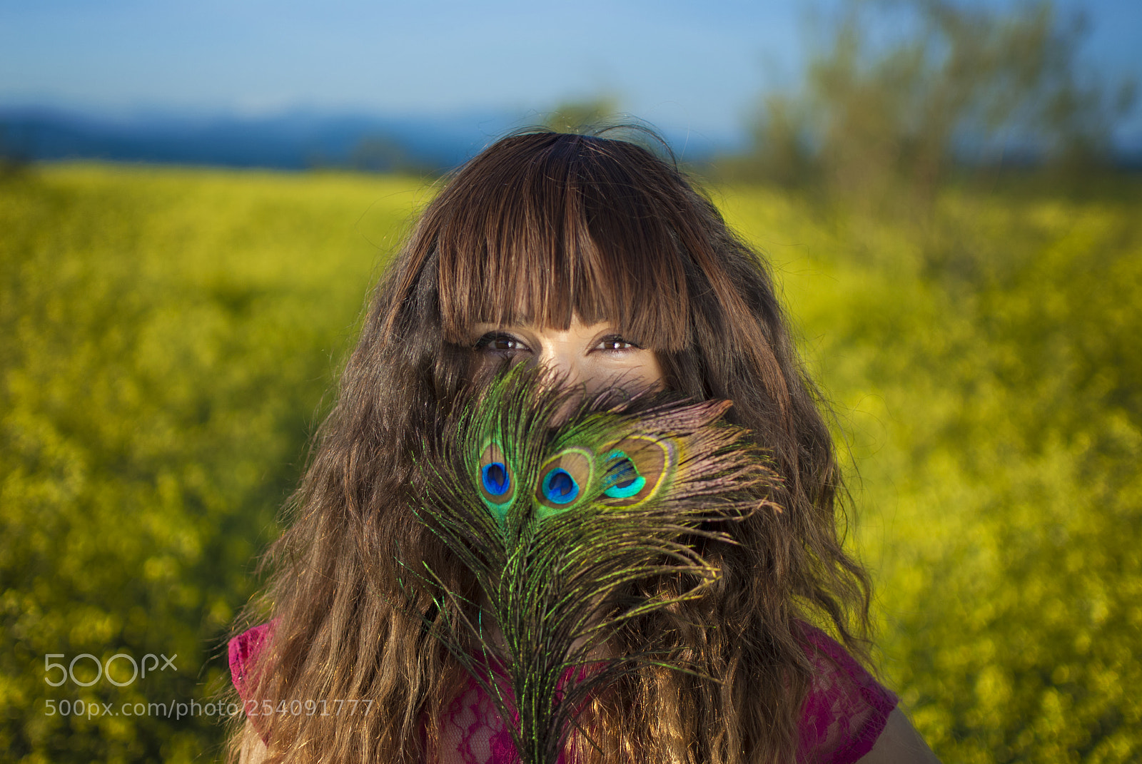 Nikon D200 sample photo. Untitled photography