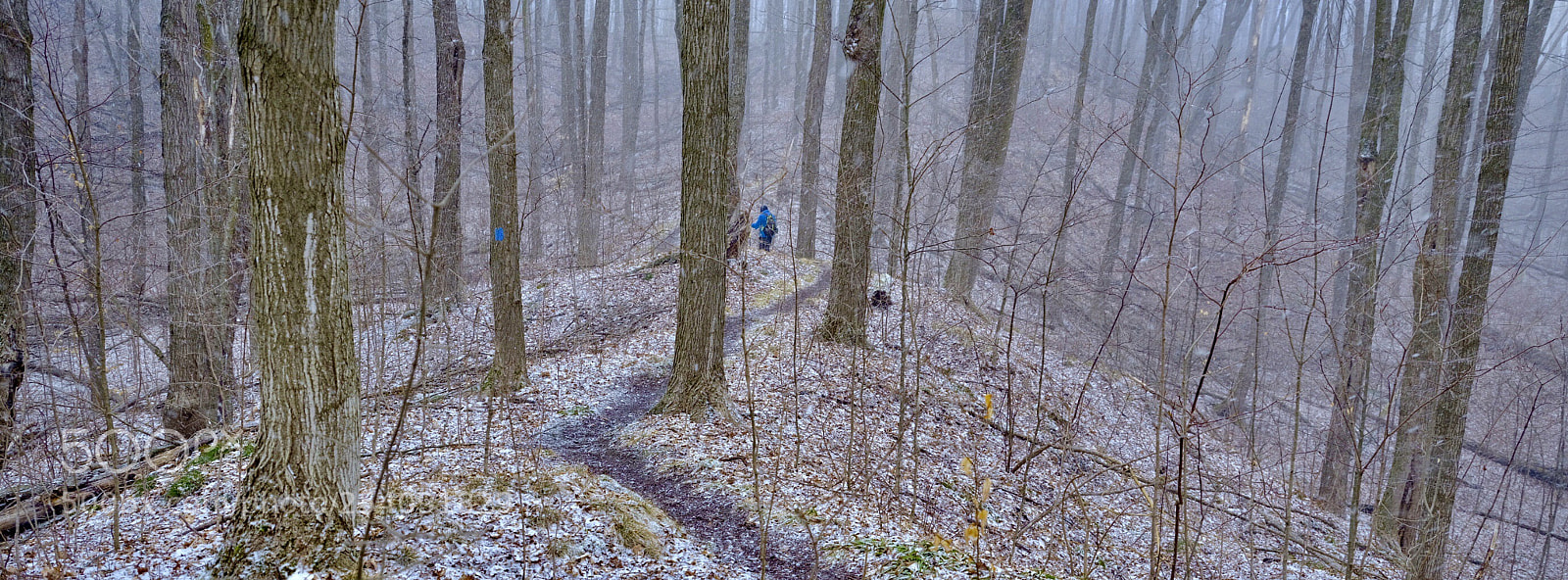 Fujifilm GFX 50S sample photo. Hiking under spring snowstorm  photography