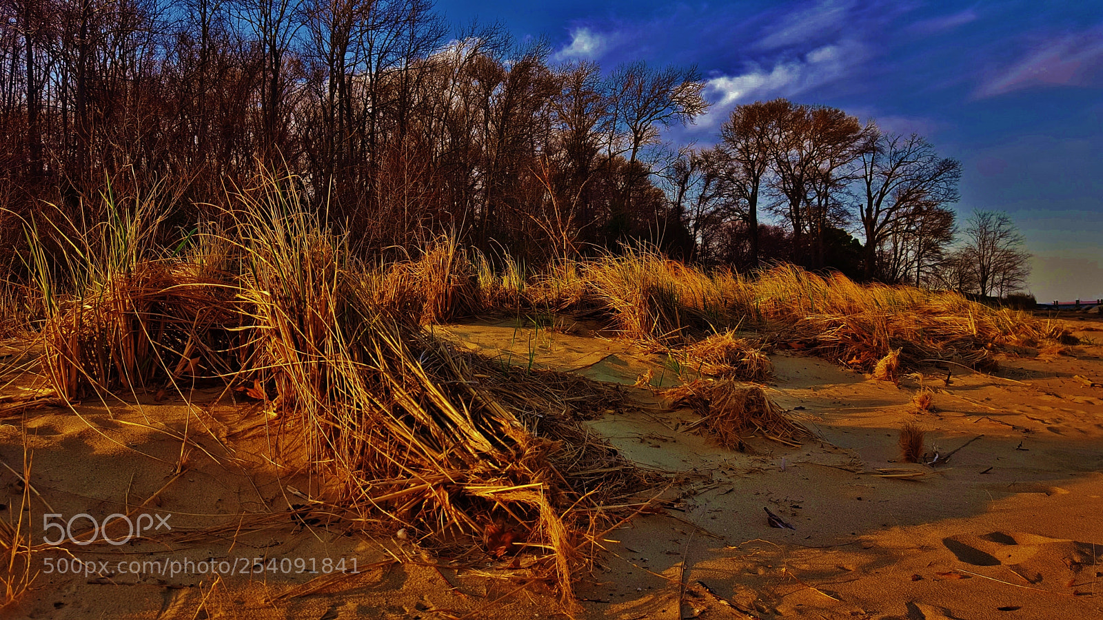 Samsung Galaxy S6 sample photo. Beach grass scene 2018 photography