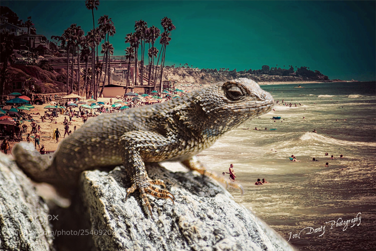 Nikon D5300 sample photo. Godzilla in california photography