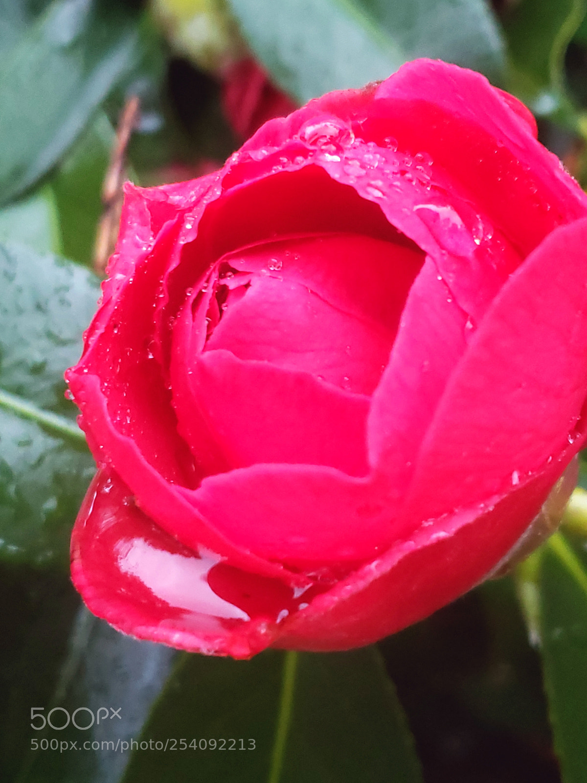 Samsung Galaxy S9 sample photo. Untitled photography