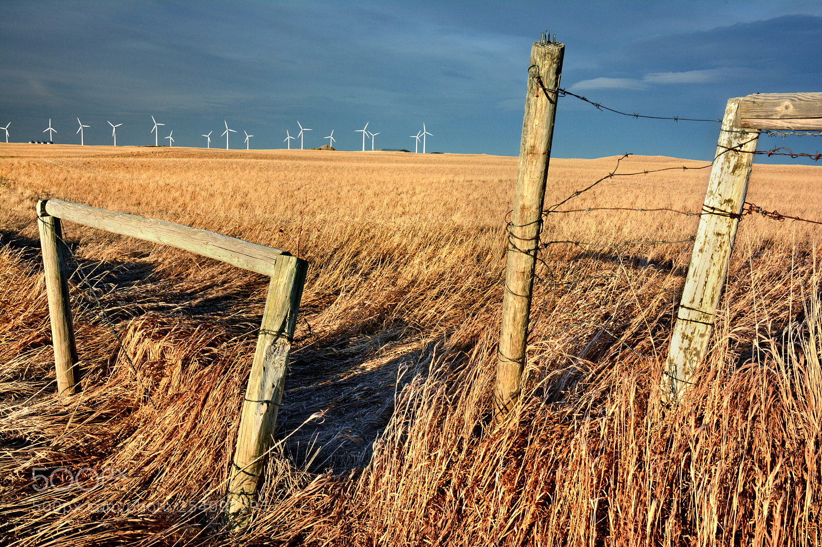 Nikon D7100 sample photo. Evening light on the photography