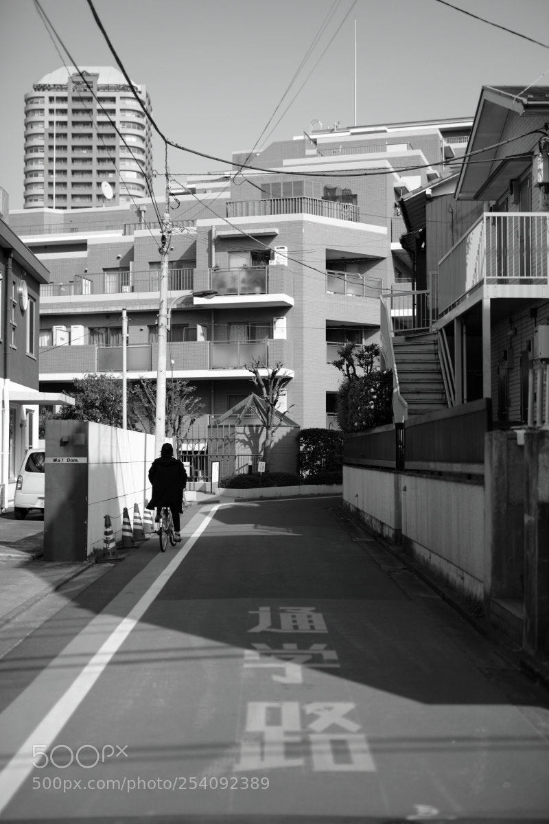 Canon EOS 5D Mark IV sample photo. Pa photography