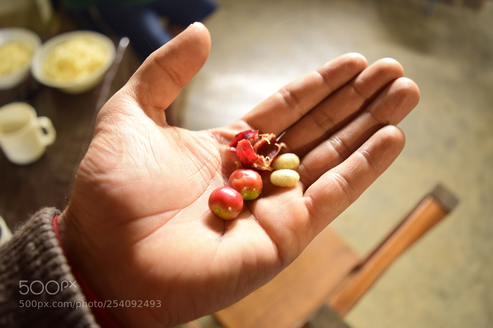 Nikon D3300 sample photo. Cereza de cafe. photography