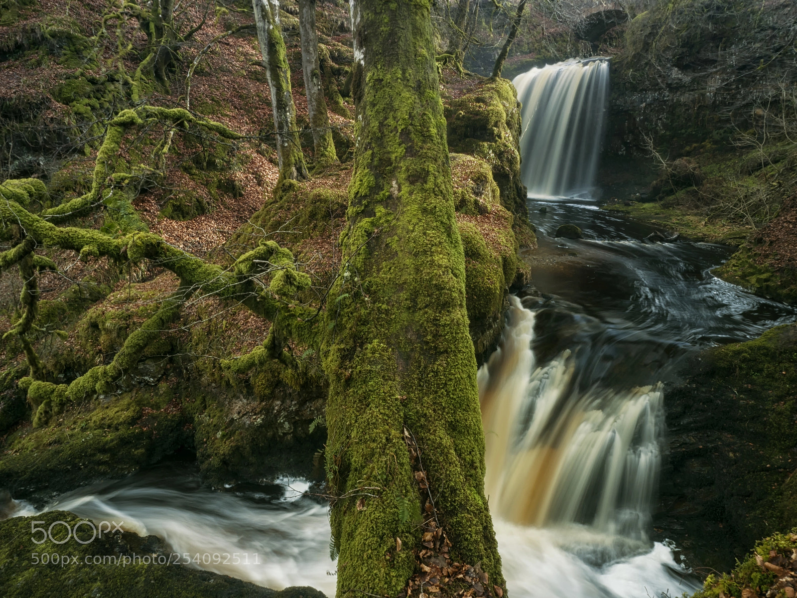 Olympus OM-D E-M5 II sample photo. Dalcairney falls doon valley photography