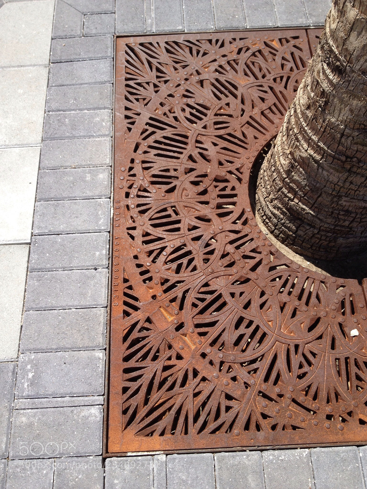 Apple iPhone 4S sample photo. Tree grate  photography